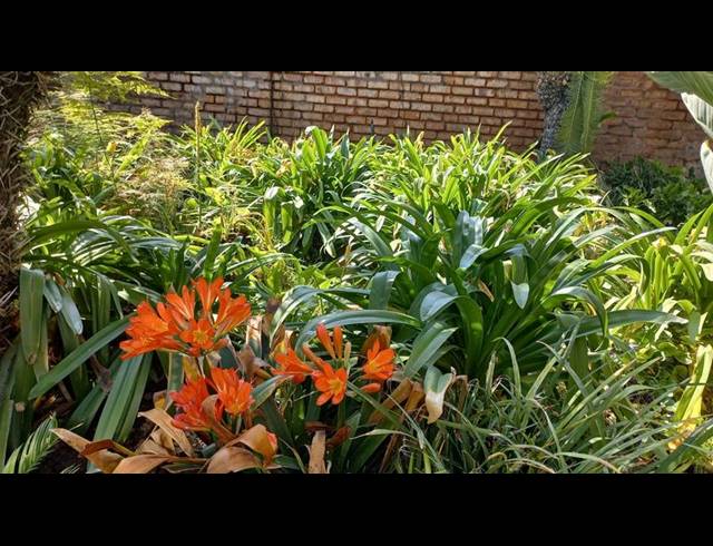 3 BEDROOM HOUSE FOR SALE IN DASPOORT